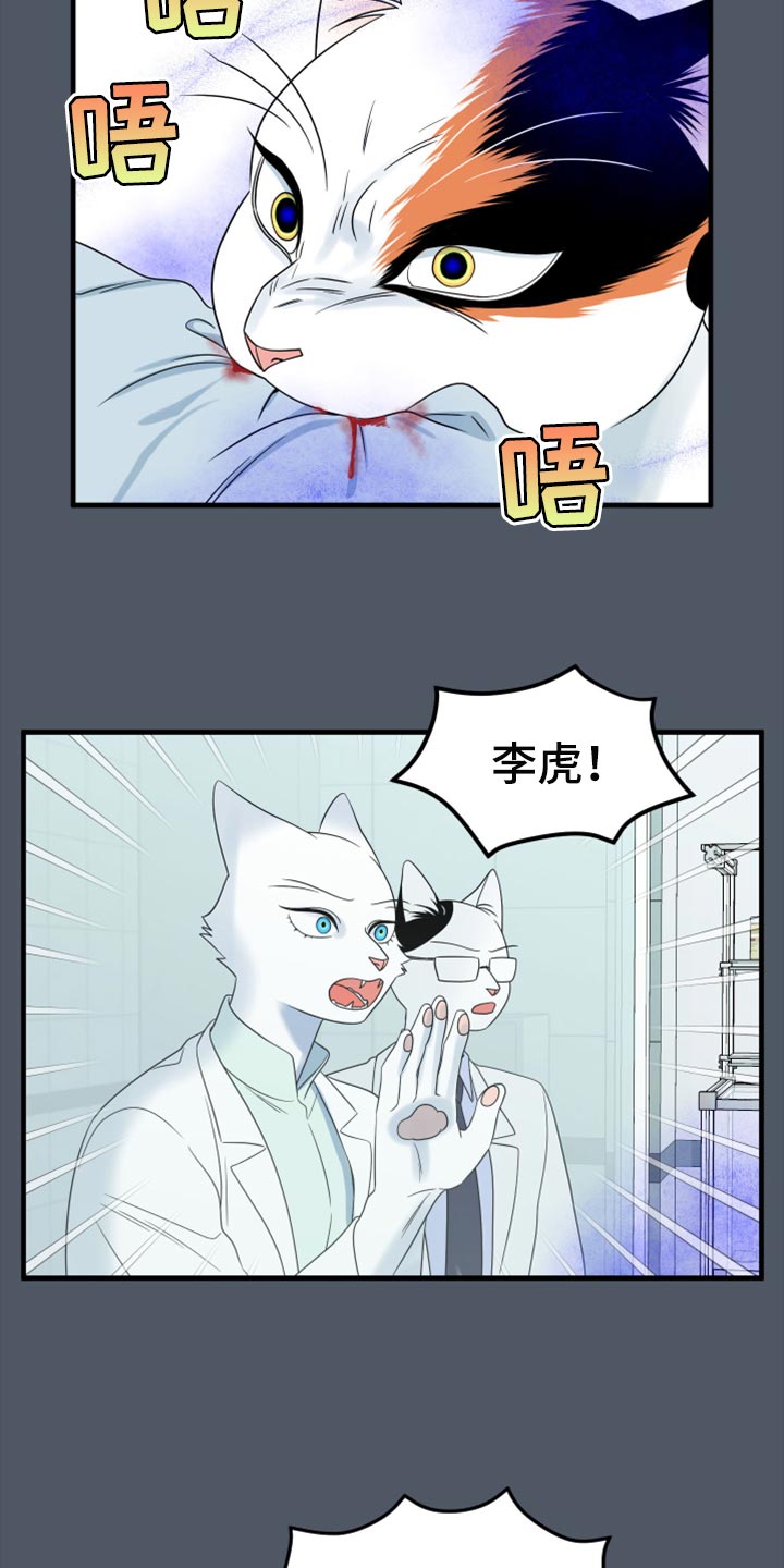 灵猫欧米伽大结局漫画,第85话1图