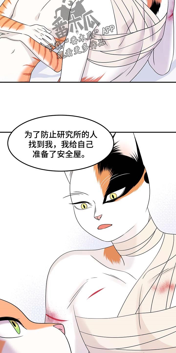 灵猫欧米伽免费阅读漫画,第48话2图