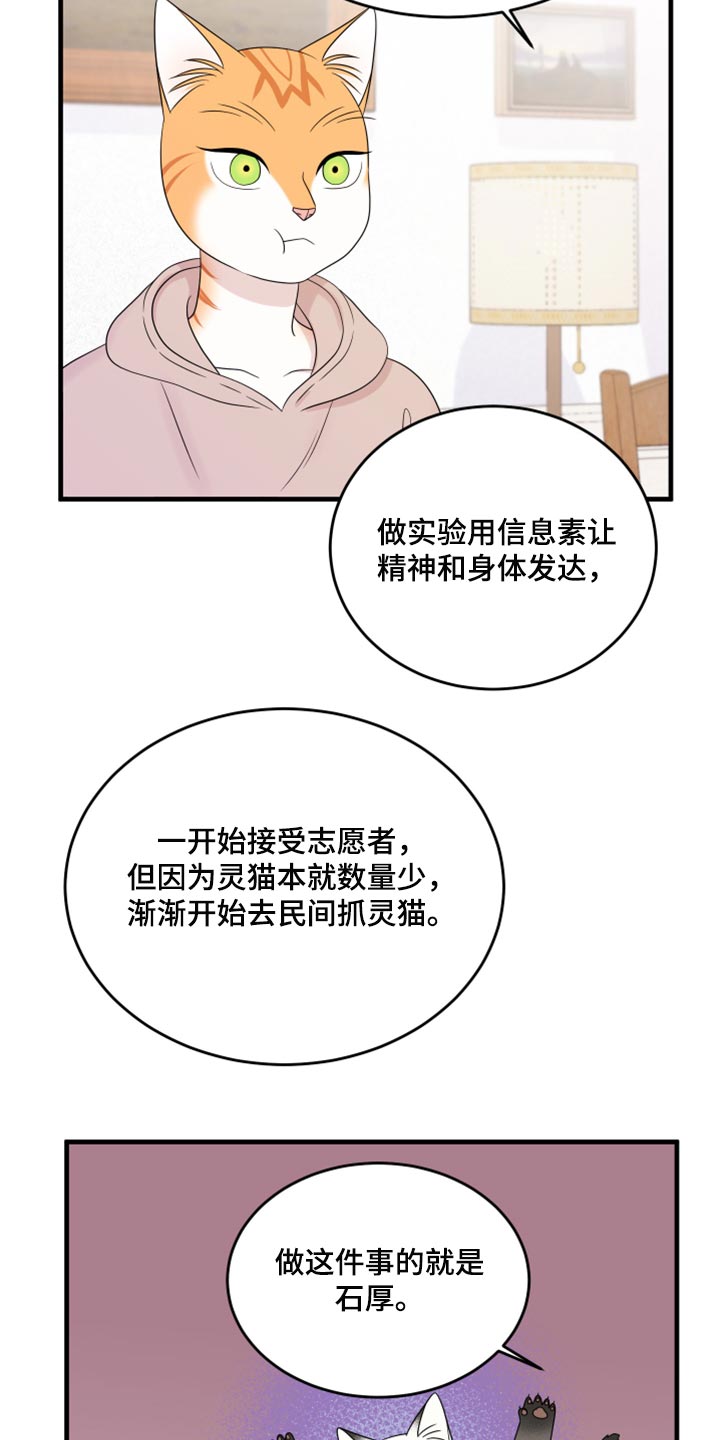 灵猫欧米伽漫画免费双男主漫画,第73话2图