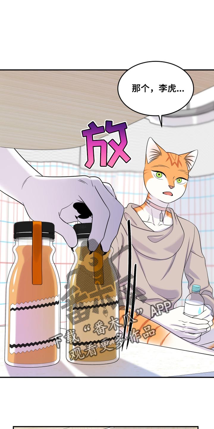 灵猫欧米伽免费阅读漫画,第168话1图