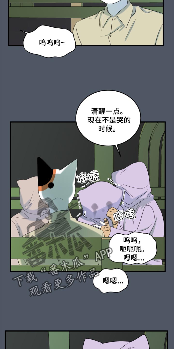 灵猫欧米伽免费版在哪里看漫画,第80话1图