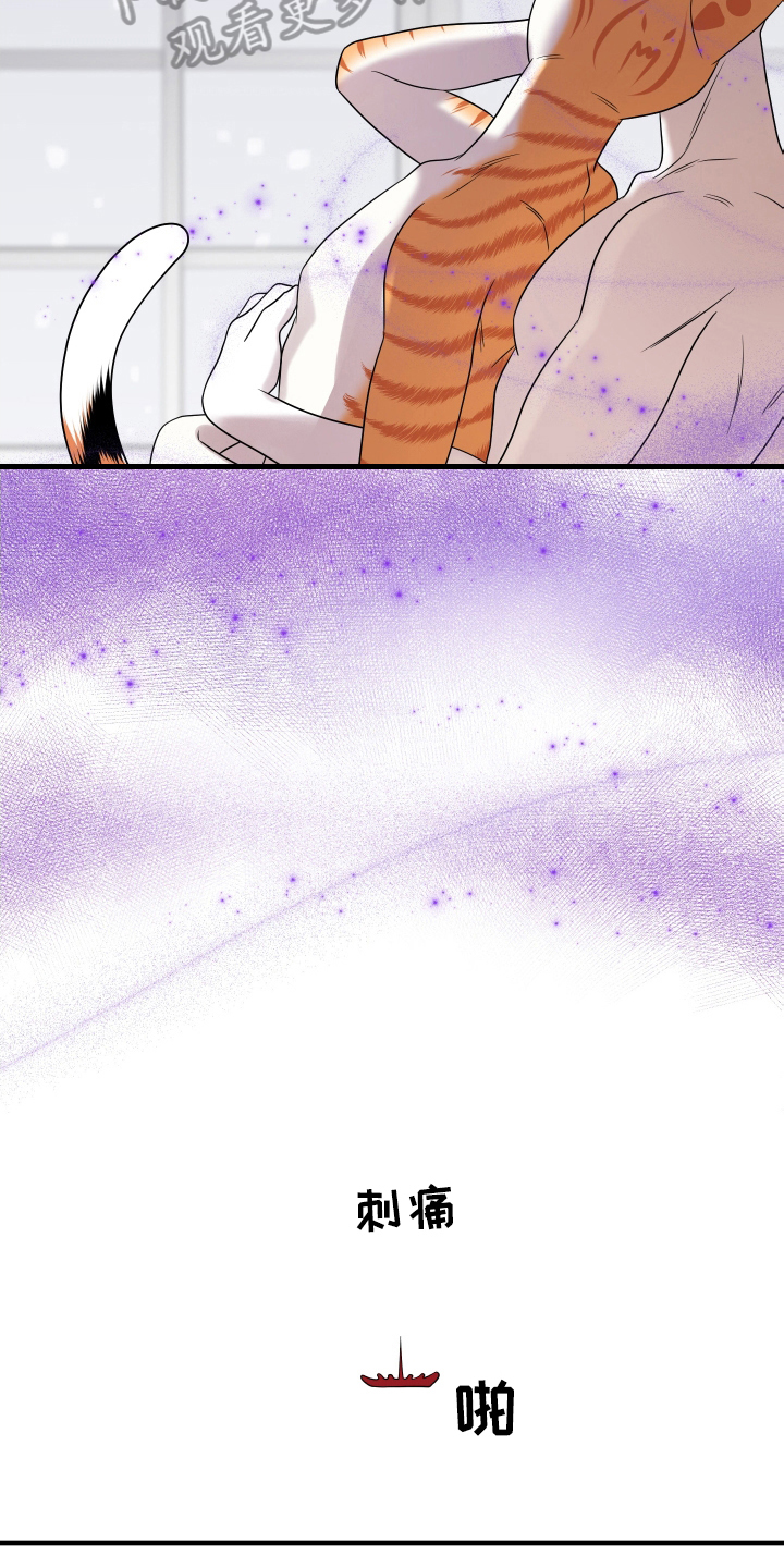 灵猫欧米伽漫画,第106话1图
