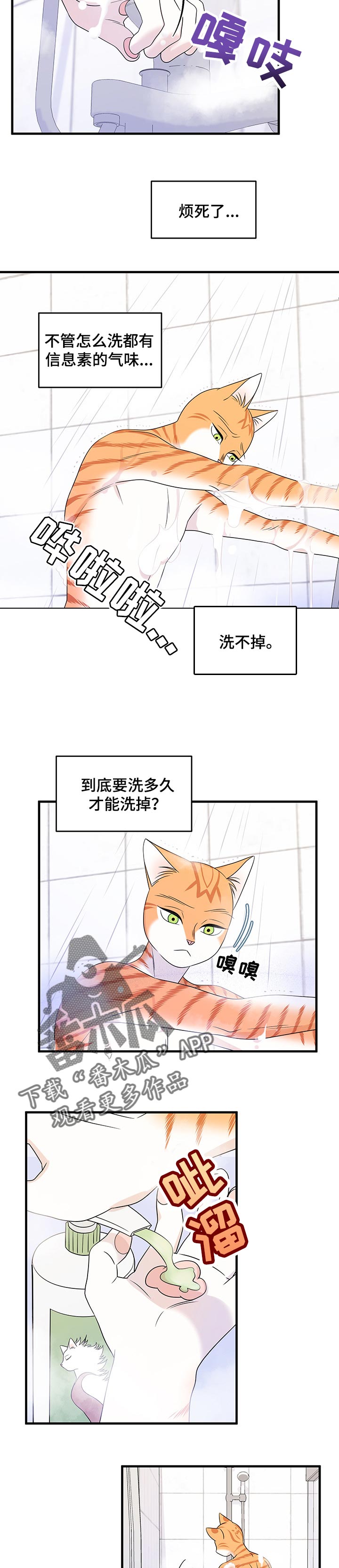 灵猫是什么动物漫画,第33话1图