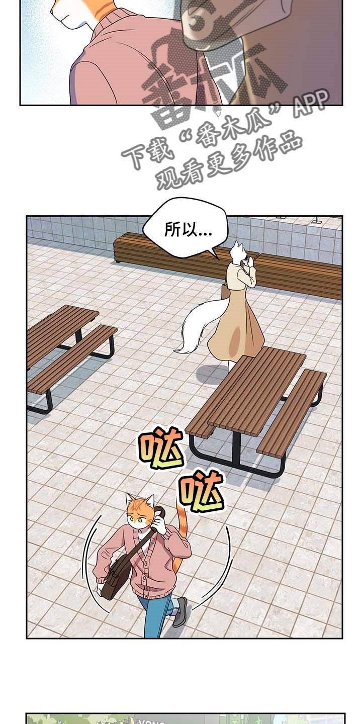 灵猫欧米茄画涯漫画,第42话2图