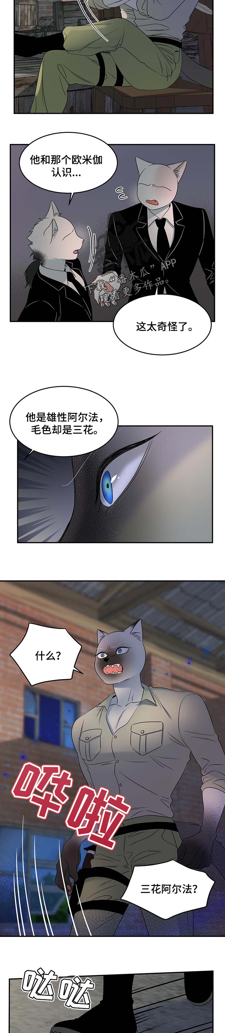 灵猫欧米迦漫画,第31话2图