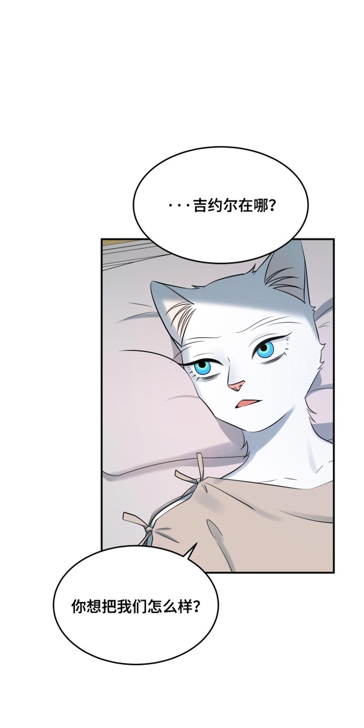 灵猫欧米伽是什么意思漫画,第150话1图