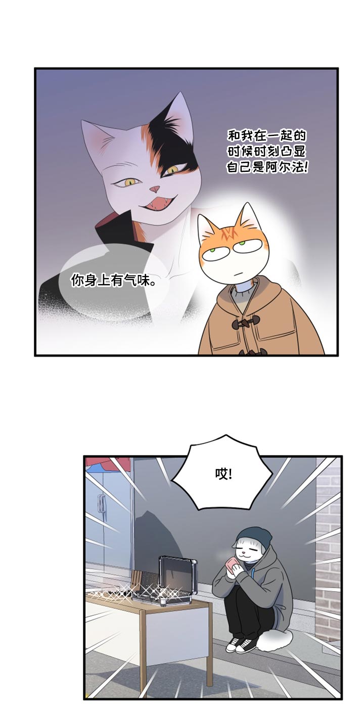 灵猫欧米伽漫画,第101话1图