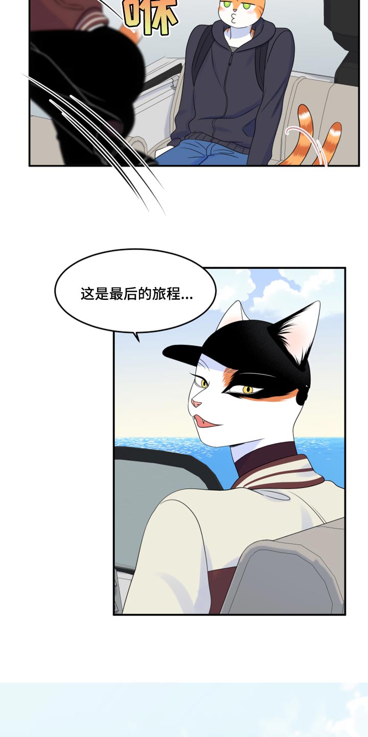 灵猫欧米伽完整版漫画,第60话1图