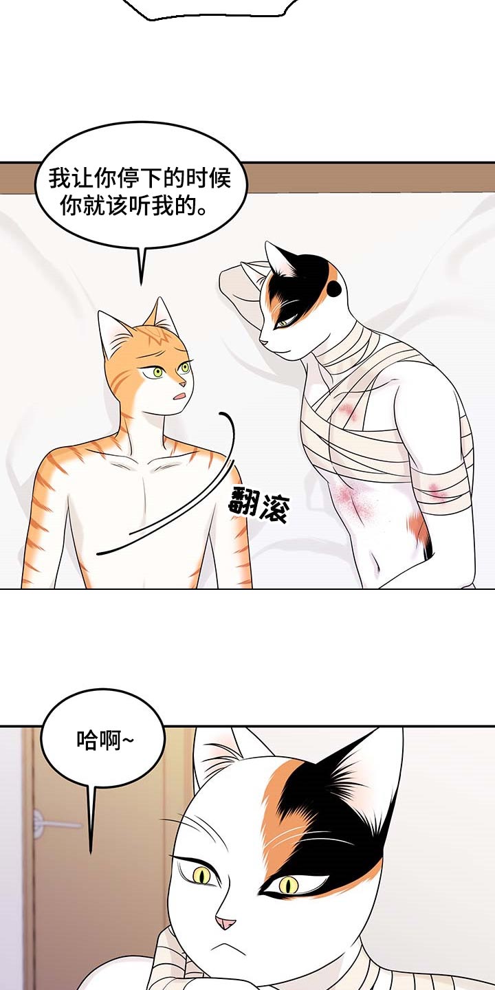 灵猫欧米伽是双男主吗漫画,第48话1图