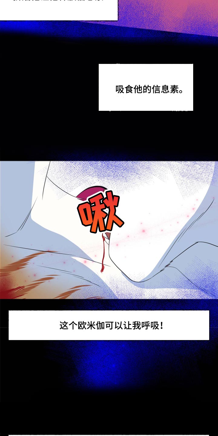 灵猫欧米伽漫画,第61话2图
