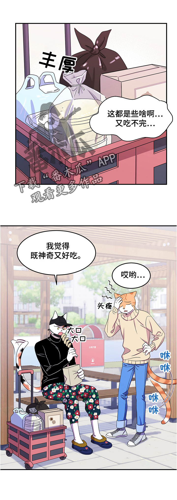 灵猫传汪苏泷漫画,第9话1图