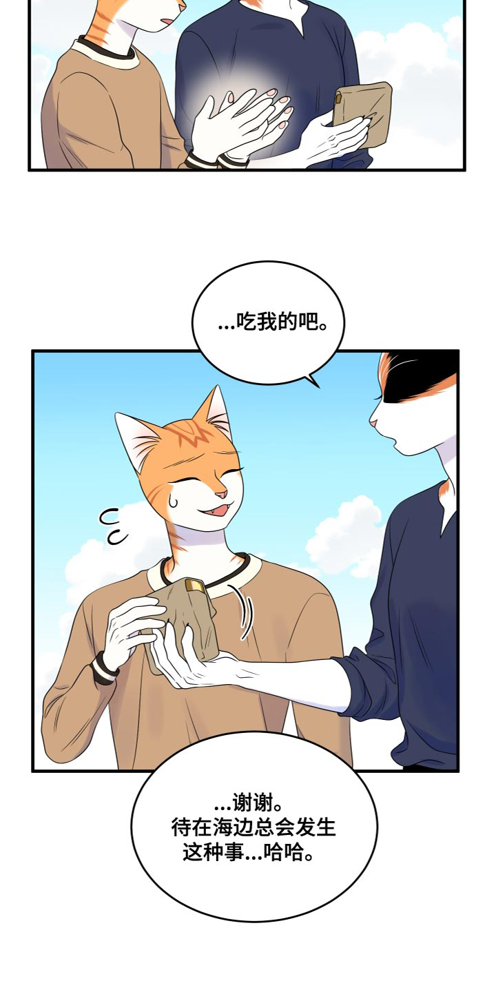 灵猫科和猫科的区别漫画,第94话2图