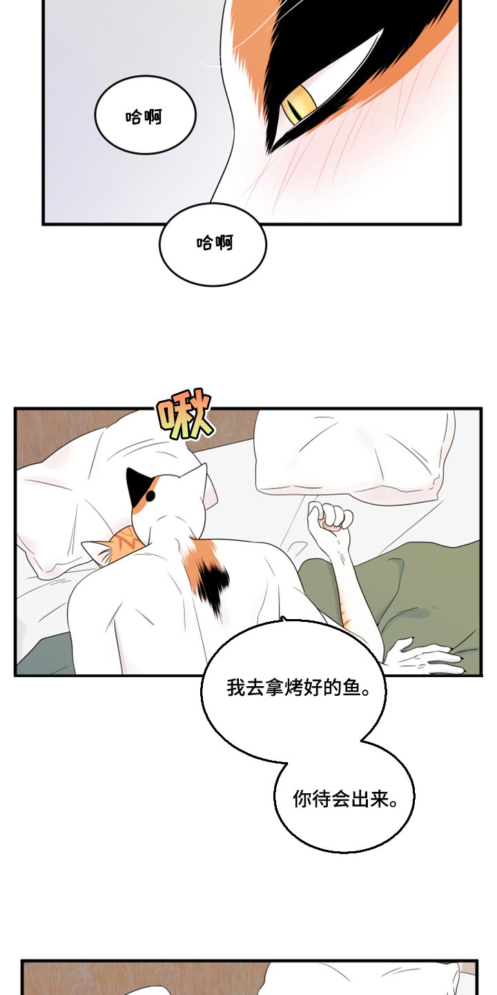 灵猫科和猫科的区别漫画,第73话2图