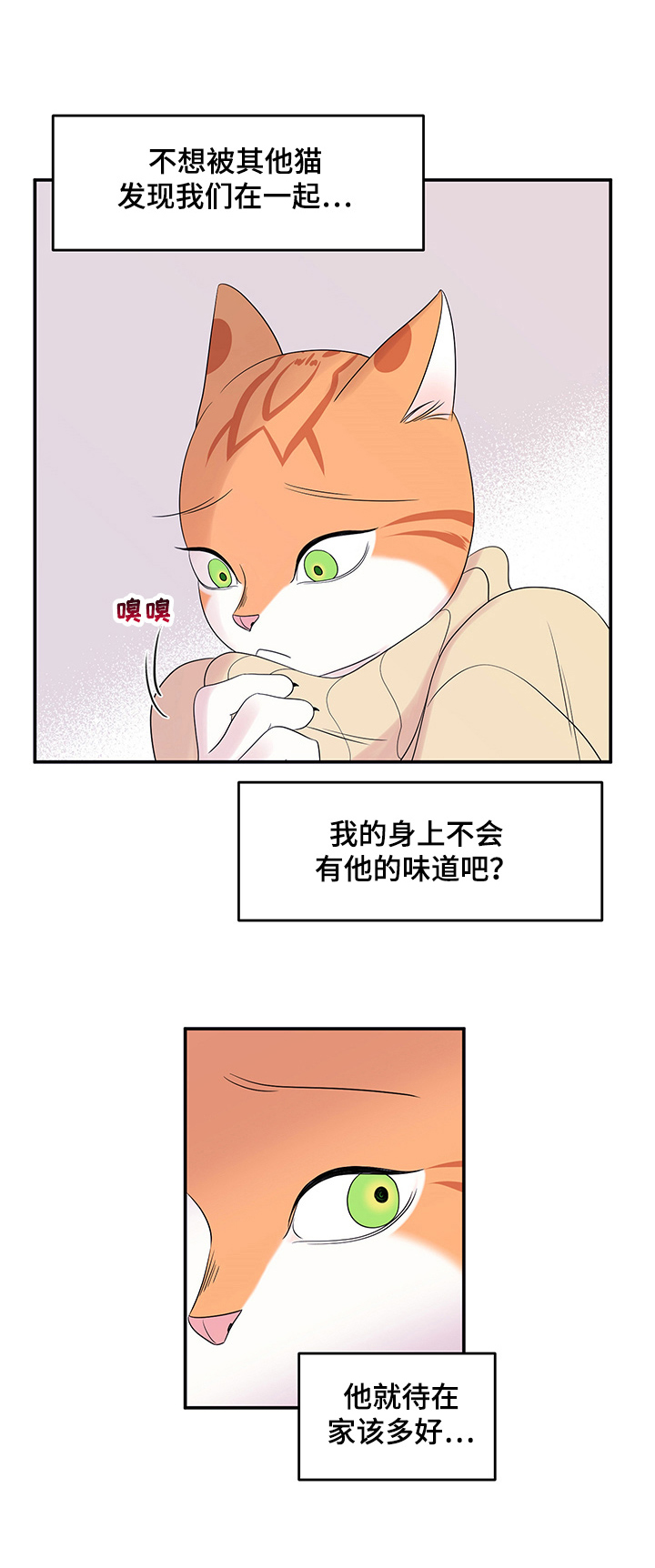 灵猫欧米伽漫画免费观看下拉式漫画,第8话1图