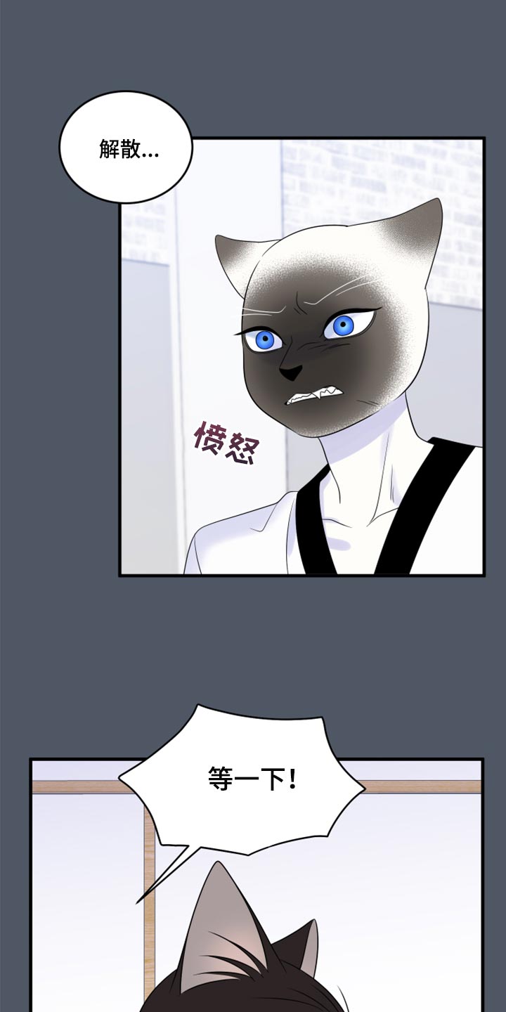 灵猫欧米伽高清漫画,第76话2图