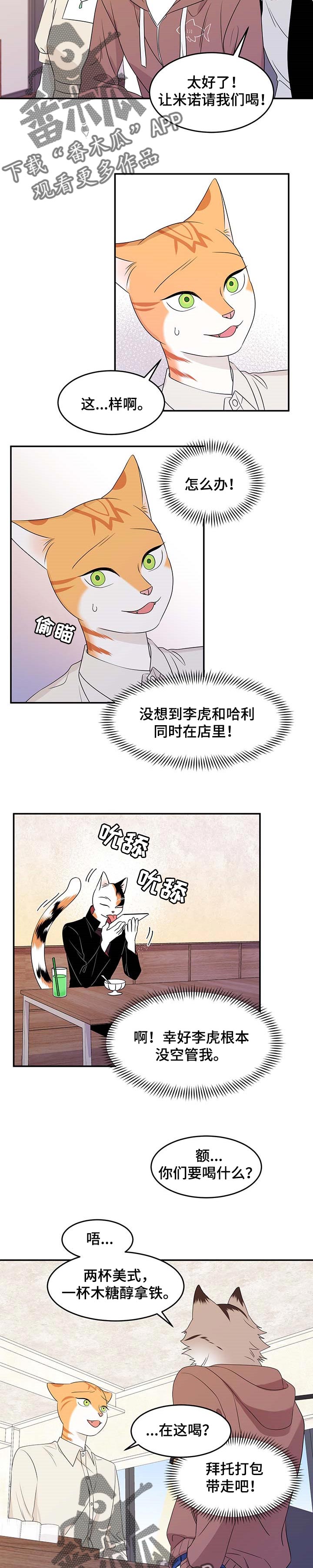 灵猫传歌曲漫画,第23话2图