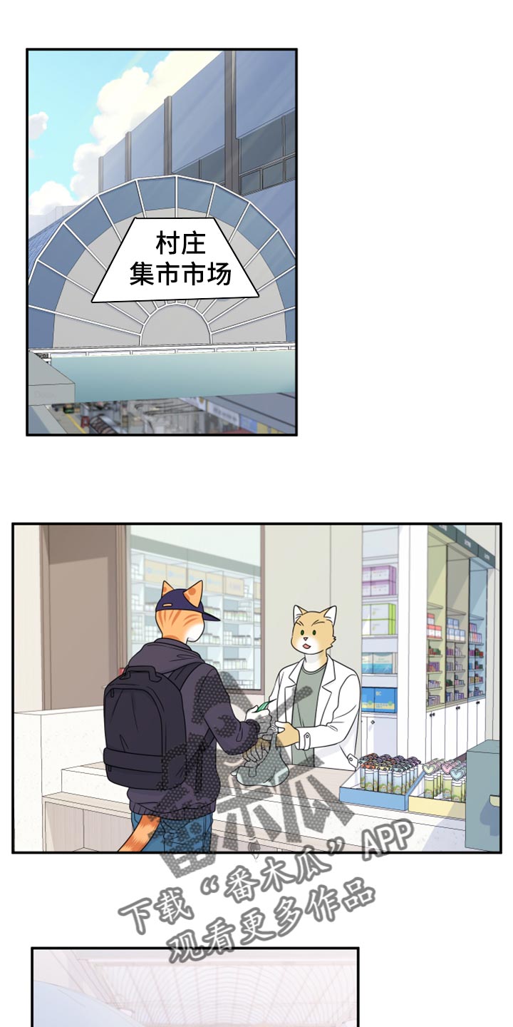 灵猫欧米伽是什么意思漫画,第56话1图