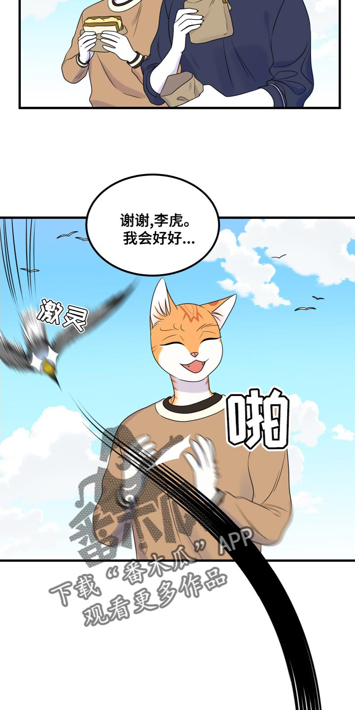 灵猫欧米伽免费版在哪里看漫画,第94话2图