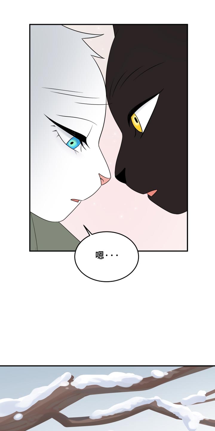 灵猫欧米伽免费阅读漫画,第145话2图