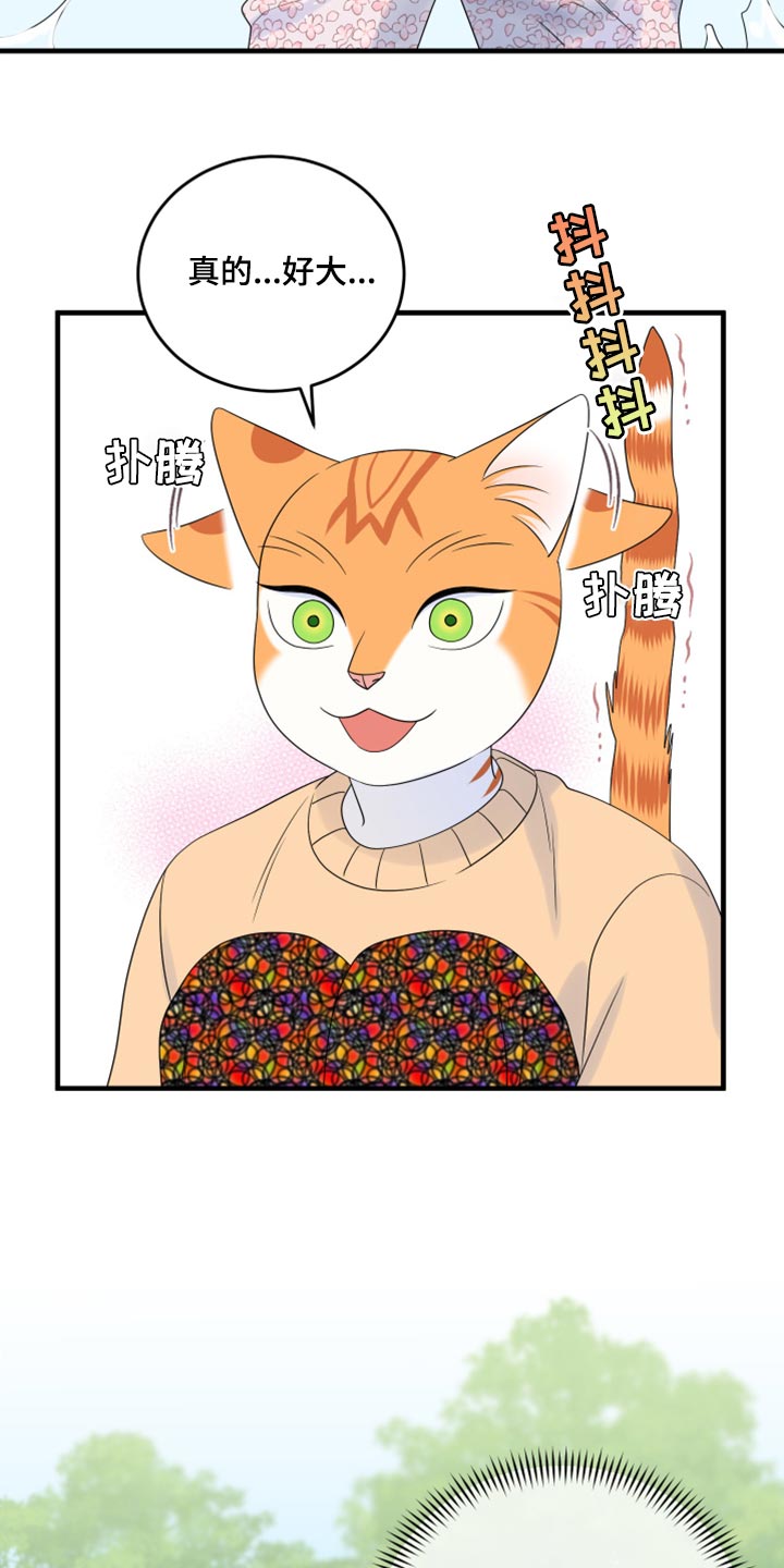 漫画灵猫欧米伽漫画,第68话1图