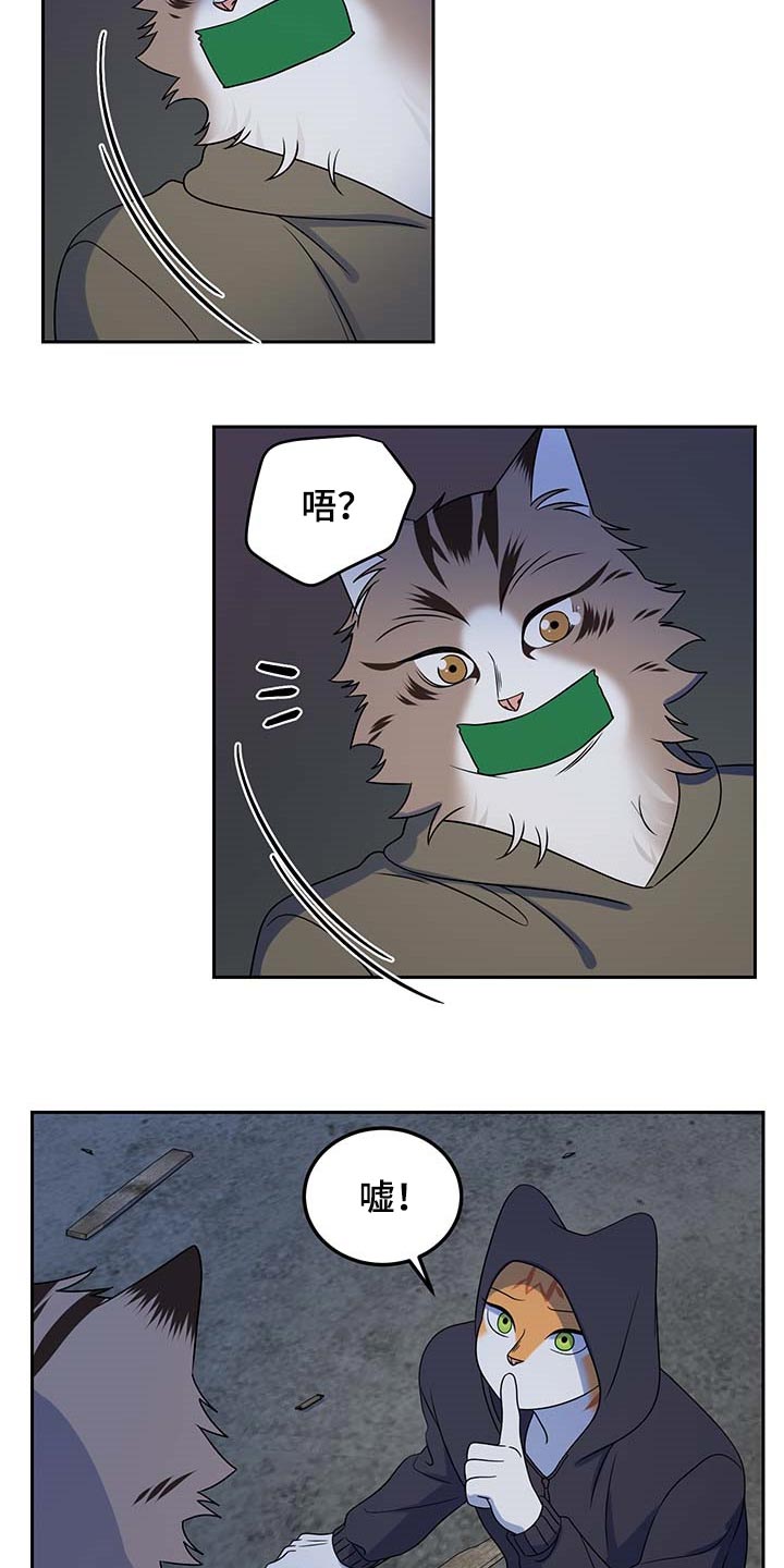 漫画灵猫欧米伽漫画,第38话2图