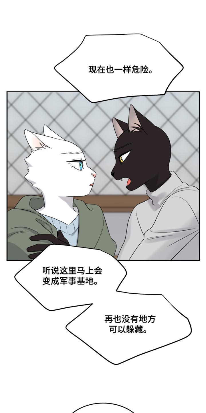 灵猫传陆知也漫画,第145话1图