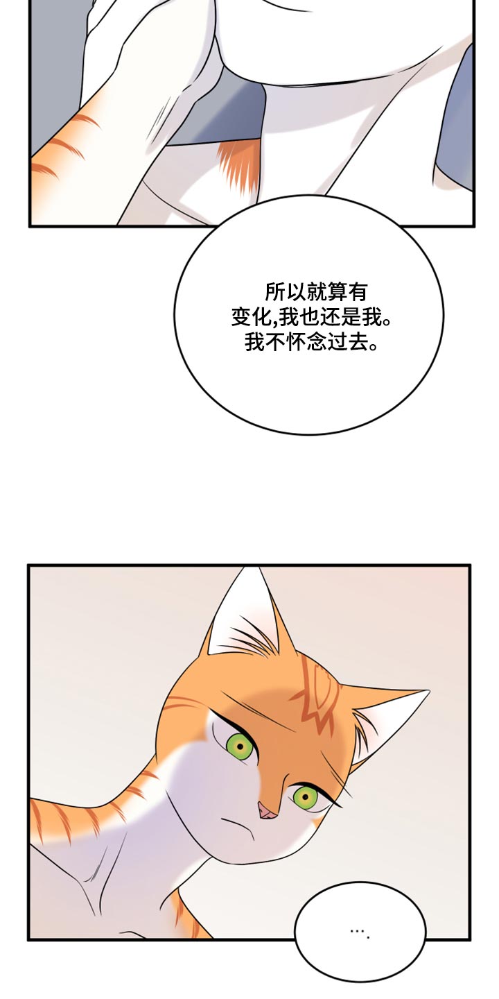 灵猫欧米伽在哪里免费看漫画,第92话1图