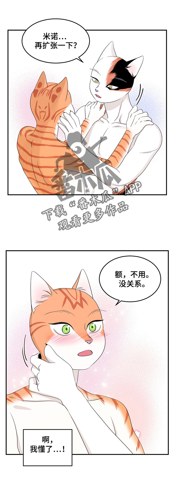 灵猫欧米伽免费阅读漫画,第13话1图