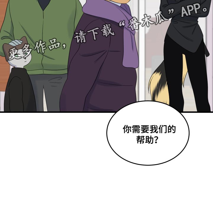 灵猫欧米伽又叫什么漫画,第108话1图