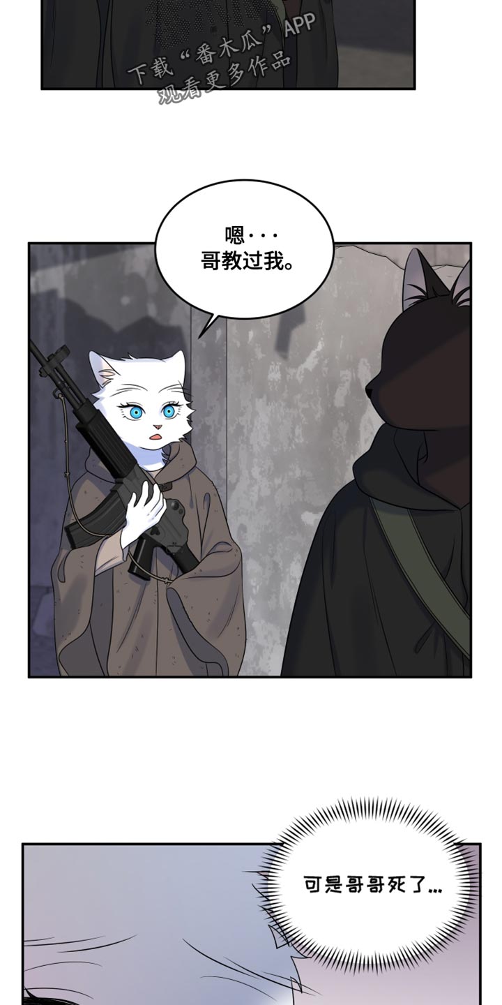 灵猫传攻略漫画,第137话1图