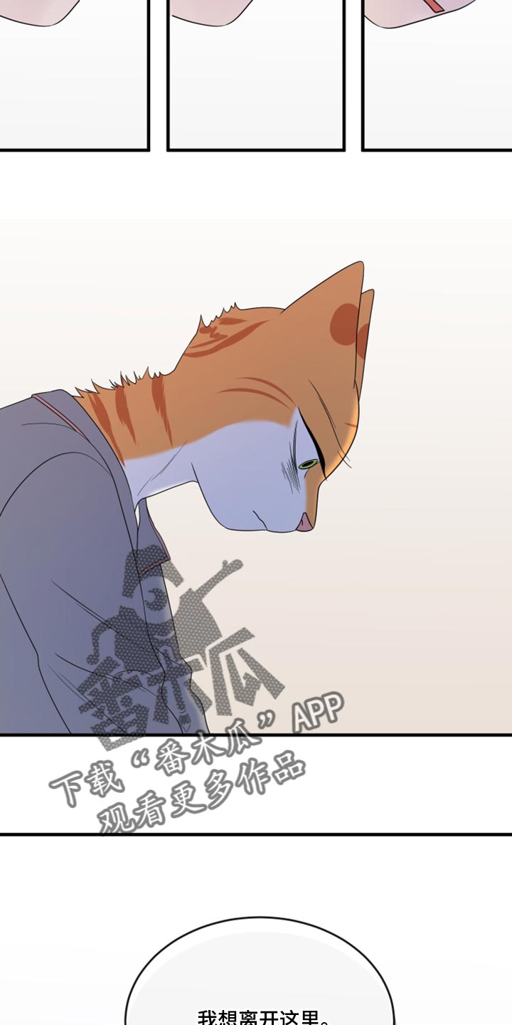 灵猫小说漫画,第100话2图