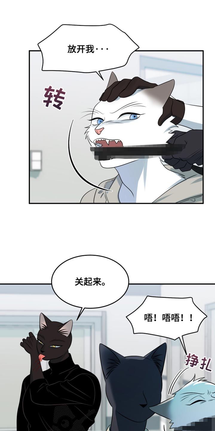 灵猫欧米伽漫画免费观看漫画,第133话2图