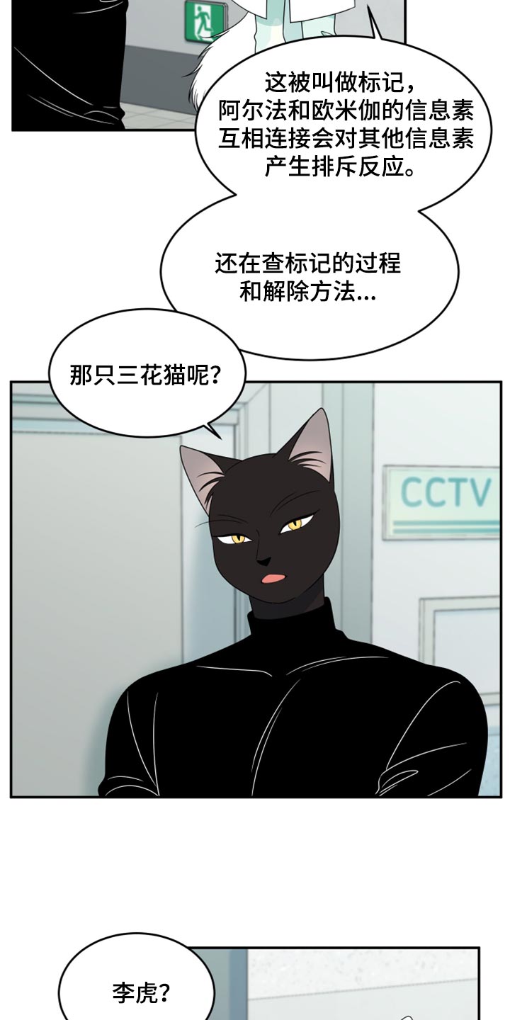 灵猫传汪苏泷漫画,第58话1图