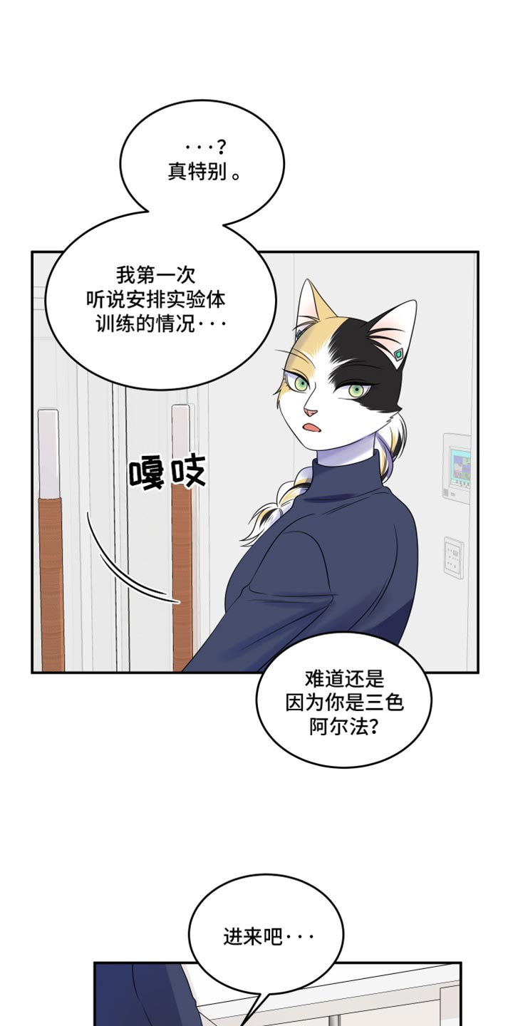 灵猫欧米伽完整版漫画,第117话2图