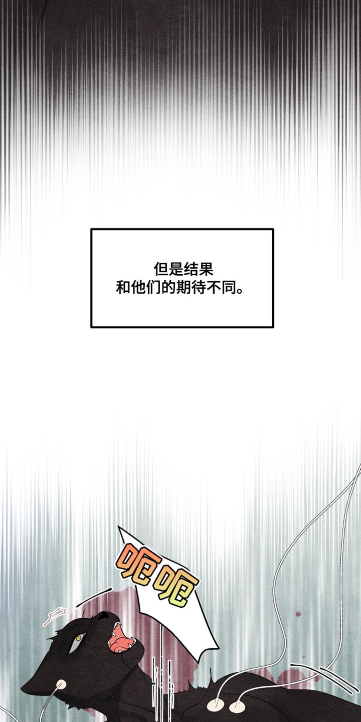 灵猫欧米伽漫画免费观看下拉式漫画,第156话2图