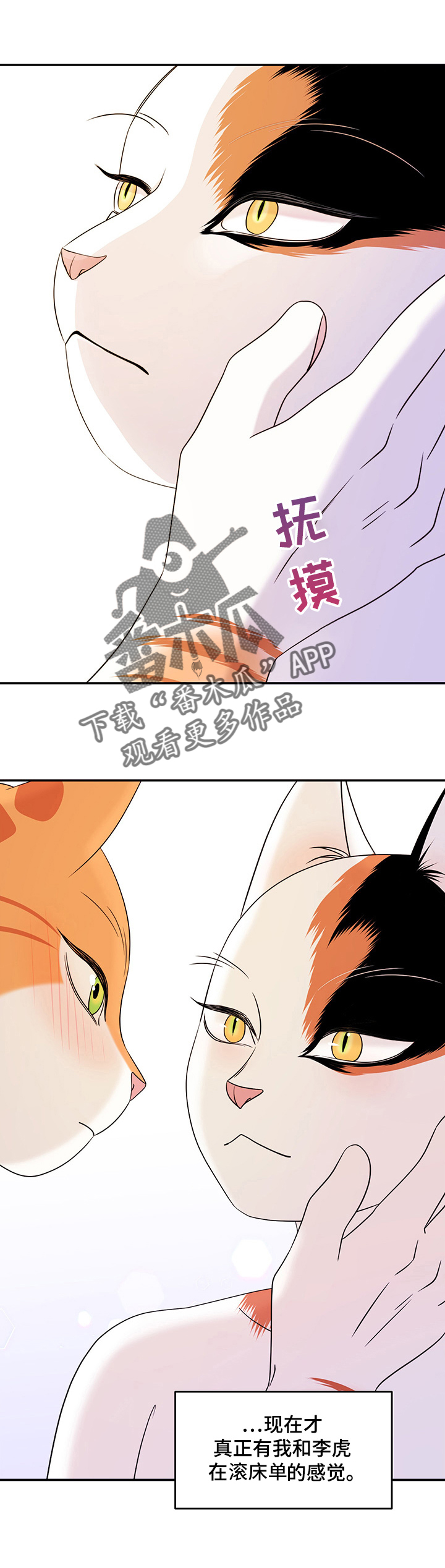 灵猫欧米伽又叫什么漫画,第13话2图