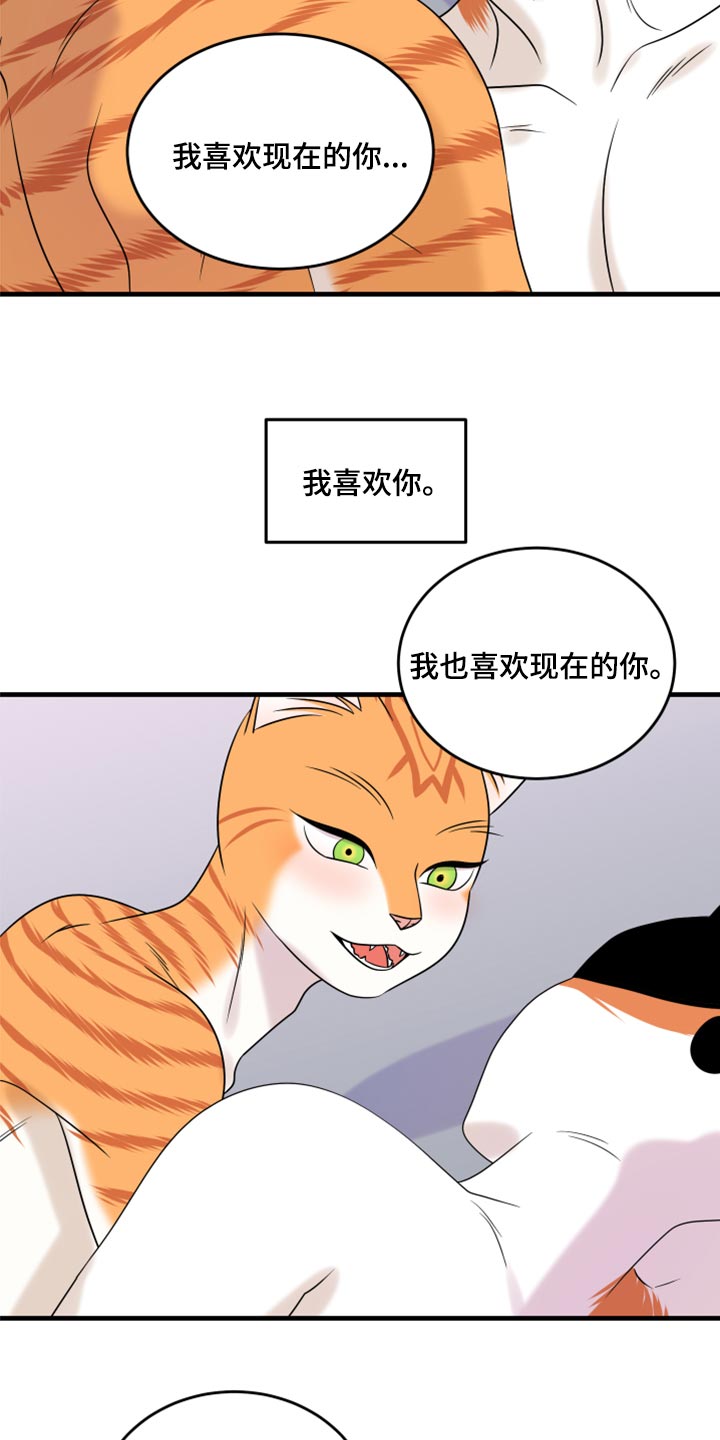 灵猫是什么动物漫画,第92话2图