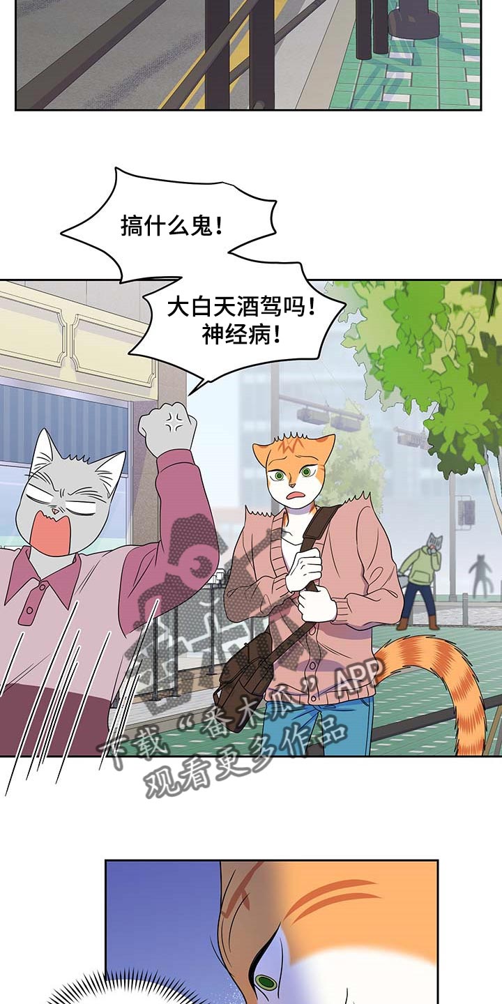 灵猫欧米伽视频漫画,第42话1图