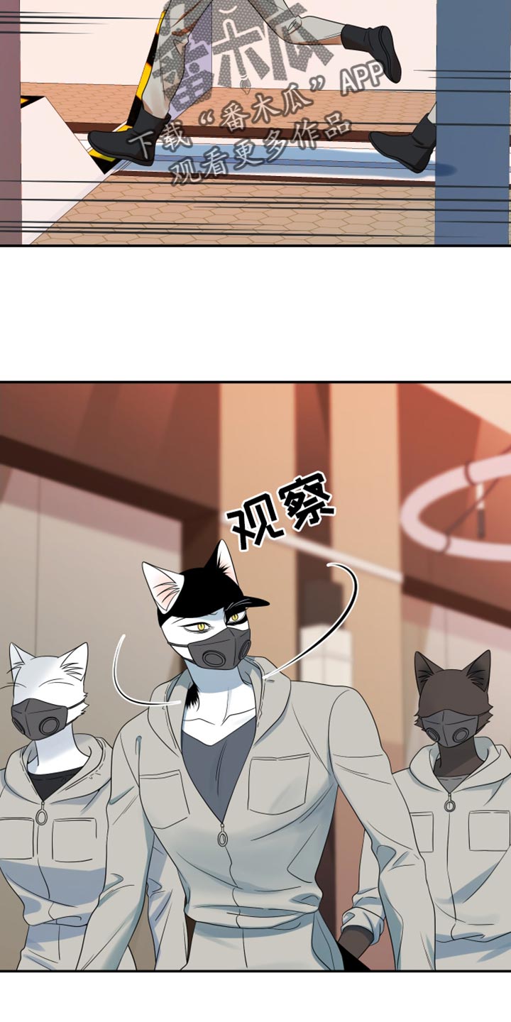 漫画灵猫欧米伽漫画,第127话2图