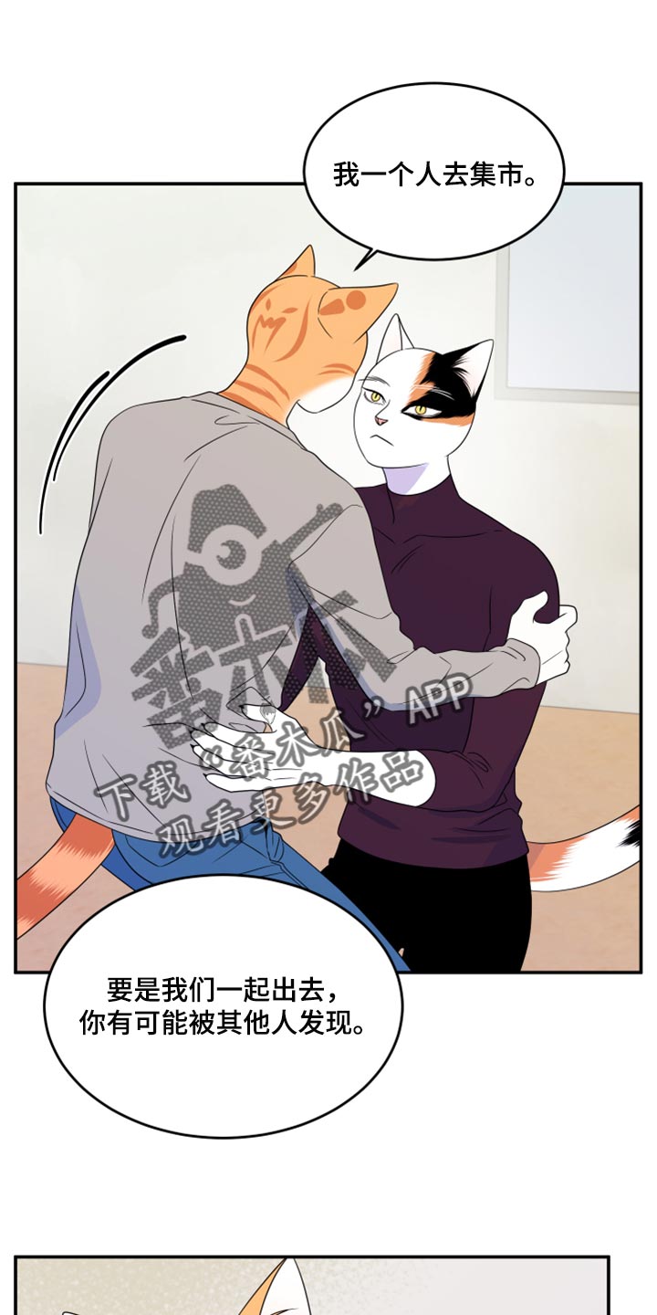 灵猫欧米伽免费阅读漫画,第55话1图