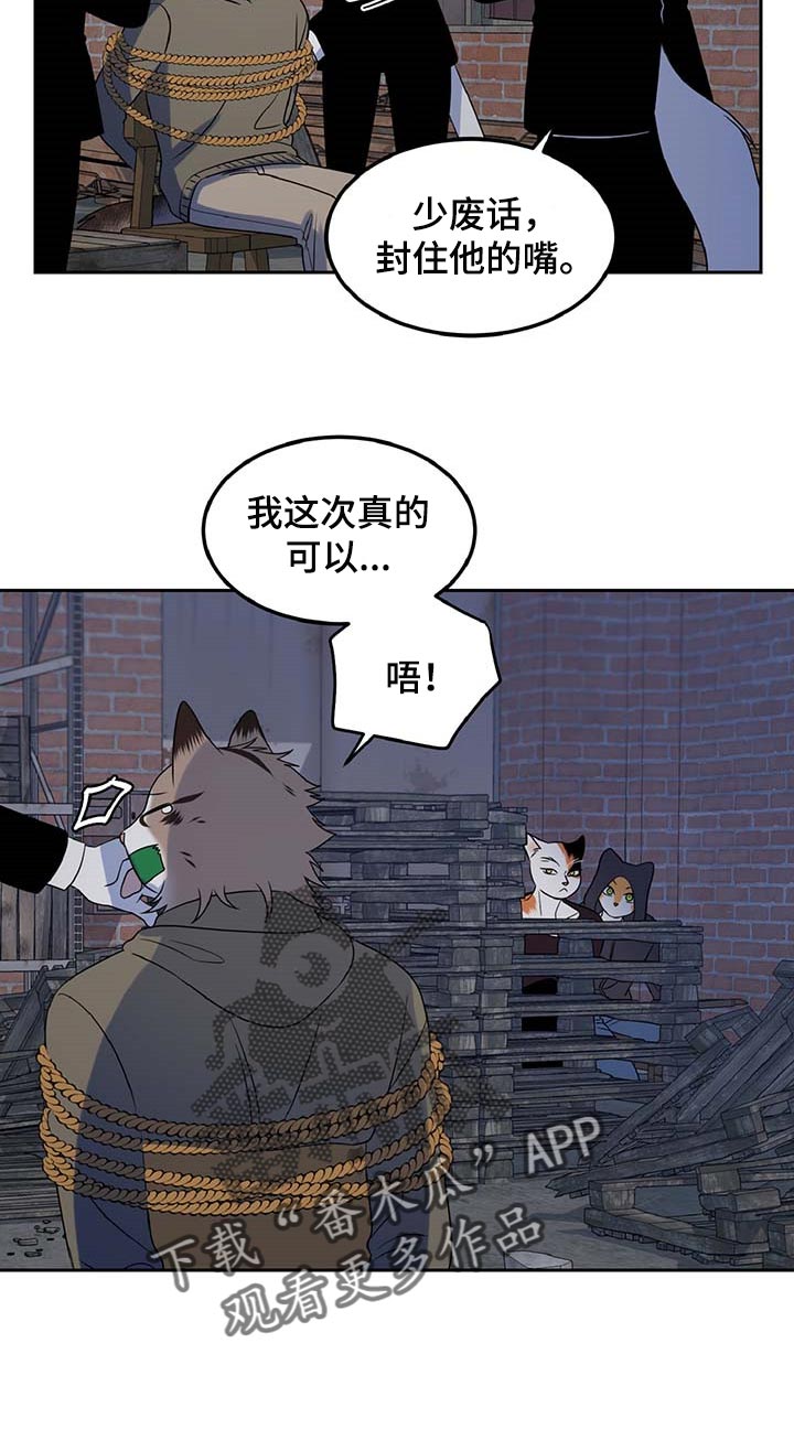 灵猫欧米伽视频漫画,第37话2图