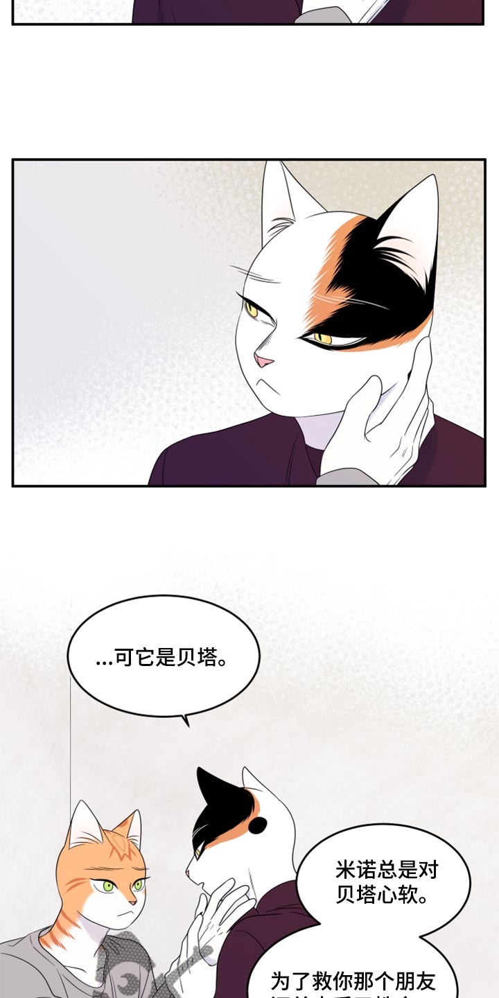 灵猫欧米伽免费阅读漫画,第55话1图