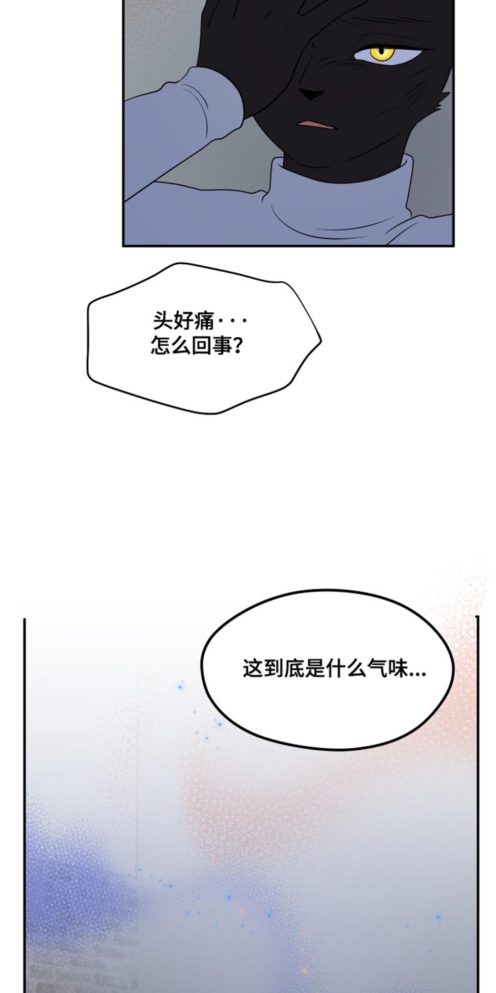 灵猫传陆知也漫画,第148话1图