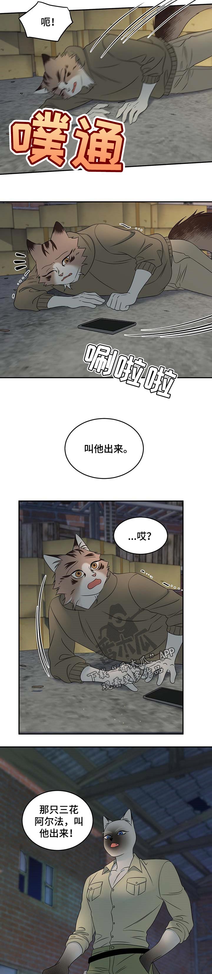 灵猫欧米迦漫画,第31话1图