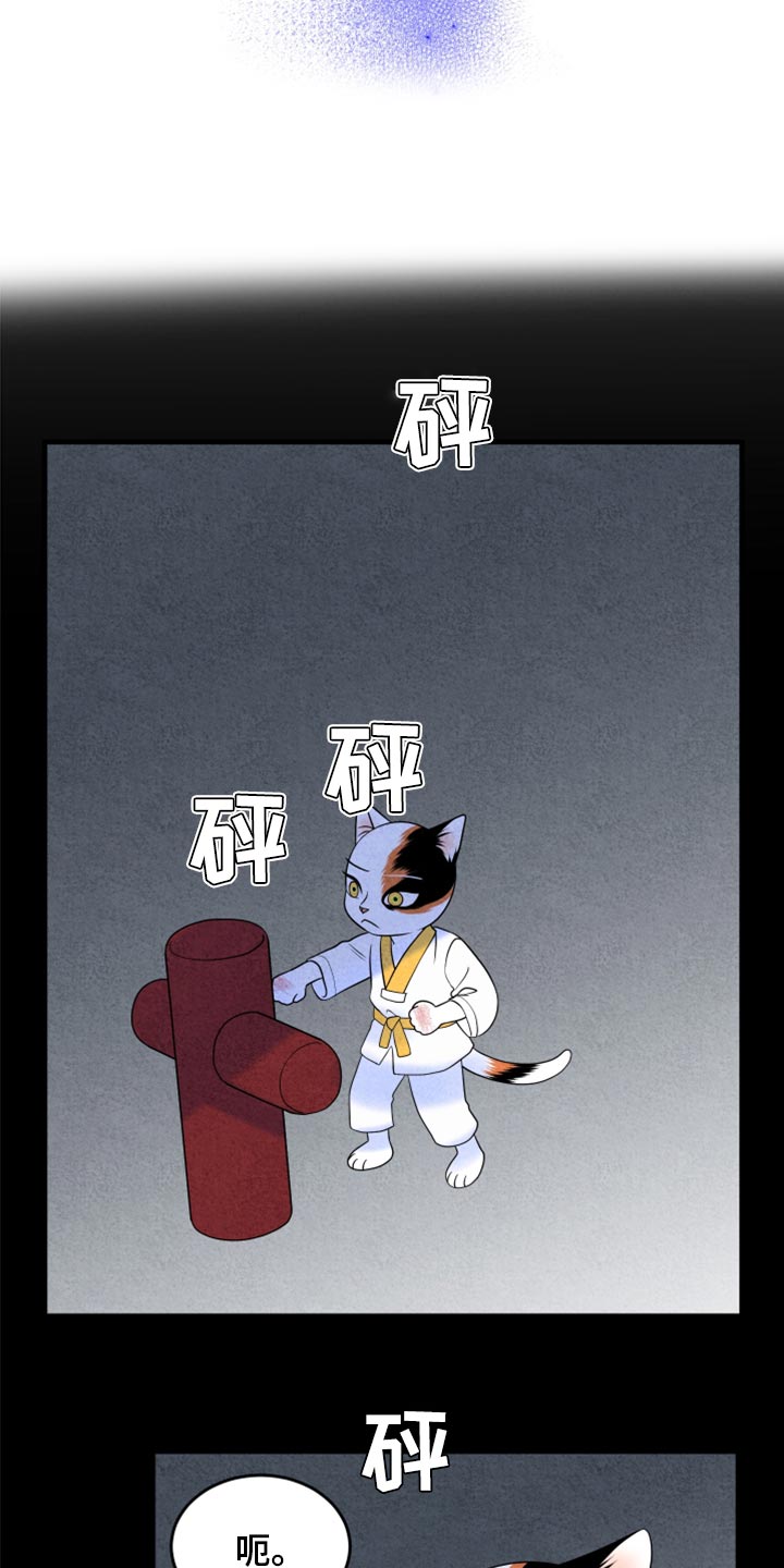 灵猫欧米伽漫画,第69话1图