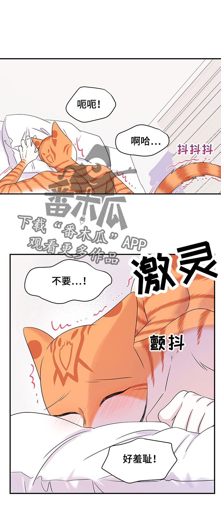 灵猫欧米伽漫画免费观看下拉式漫画,第12话2图