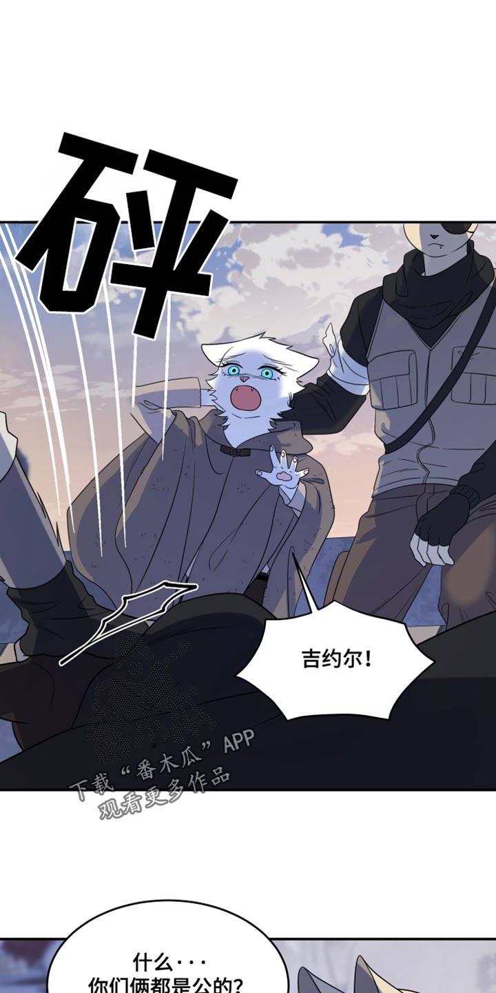 灵猫欧米伽免费版在哪里看漫画,第139话1图