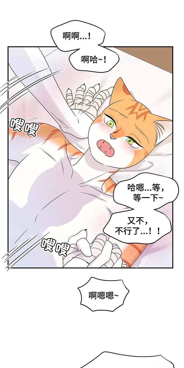 灵猫欧米伽漫画全集免费下拉式漫画,第47话1图