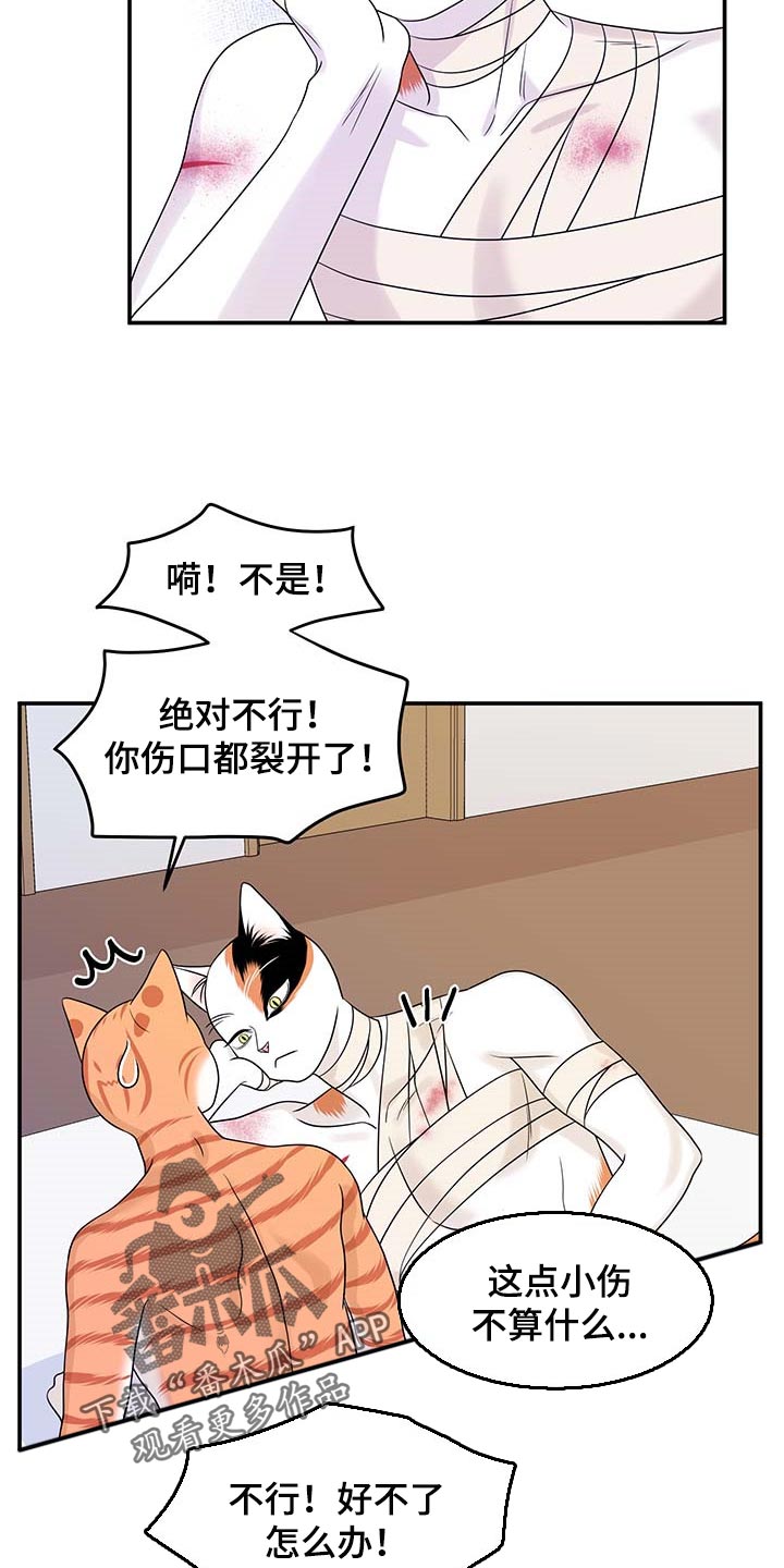 灵猫欧米伽免费阅读漫画,第48话2图