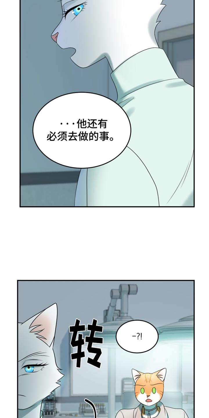 灵猫欧米伽漫画在哪里看漫画,第119话2图